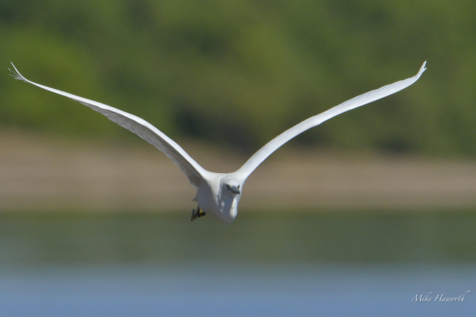 Chobe 1-6_May133043 | Howie's Wildlife Images, image size:1920x1280